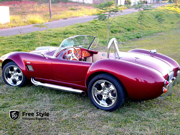 Shelby Cobra 302 Répilca